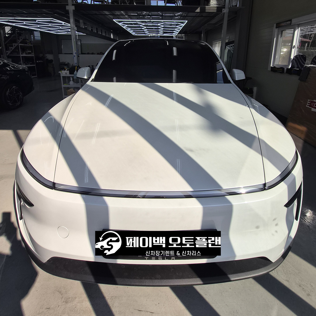 전기차 고민하다 모델 Y로 결정한 과정