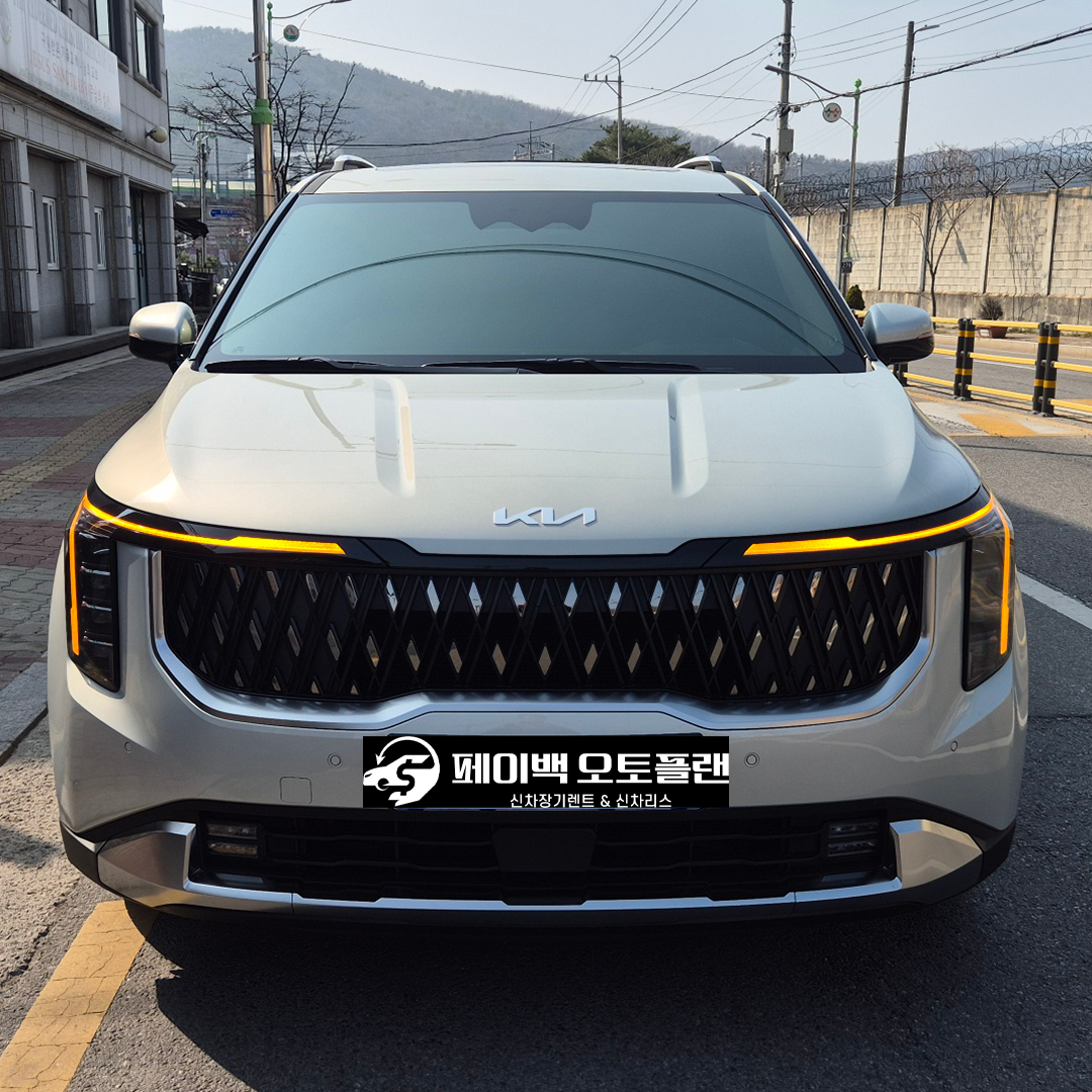 짐 싣고 사람 태우는 일이 많아져서 카니발 9인승 장기렌트 했어요