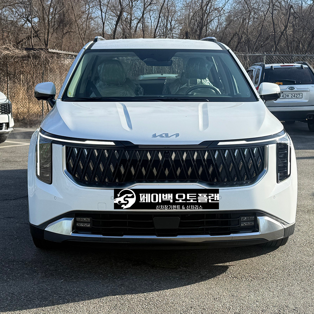 카니발 가솔린 9인승 알아보다 페이백 오토플랜에서 진행했습니다