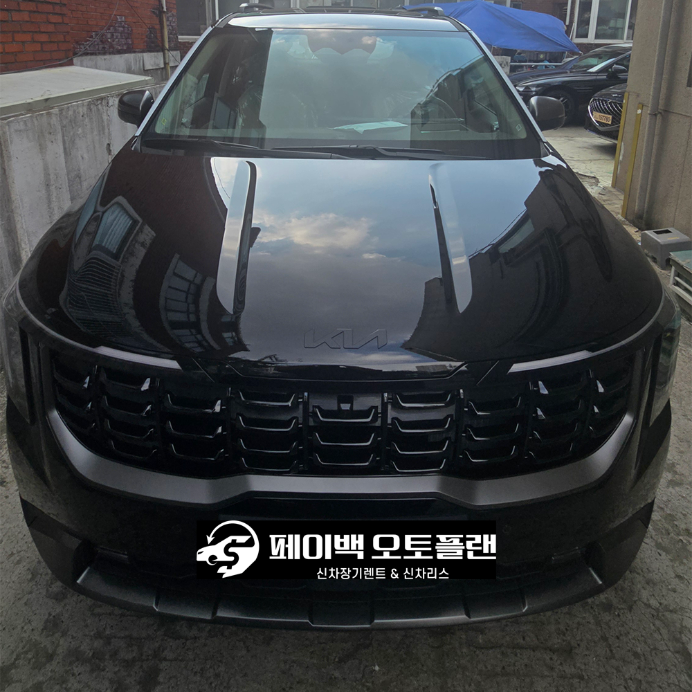 문의만 하려다 카니발 계약했어요:)